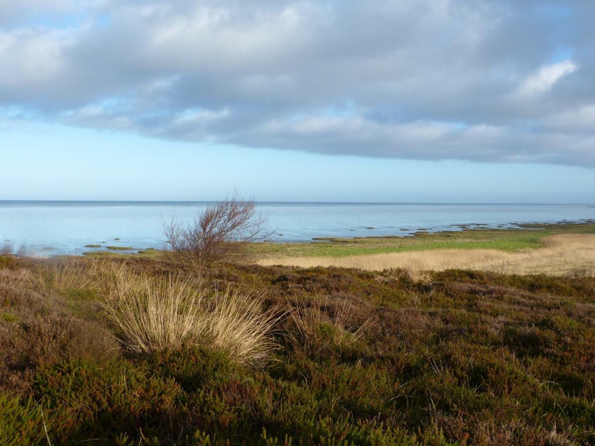 Appartement Kayser Sylt Morsum  Eksteriør billede
